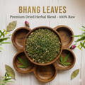 Premium dried Bhang Leaves – authentic Cannabis Sativa leaves for thandai and Ayurvedic use | Canavibe