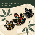 Bhang Flavored Chocolate – artisan Cannabis-infused chocolate with rich Bhang extract | Canavibe